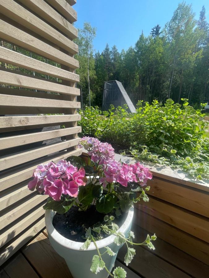 Haalia Homes Turku Paeaeskynpesae Екстер'єр фото